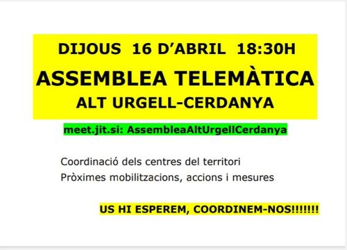 Assemblea Telemàtica Alt Urgell-Cerdanya
